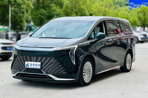 上海租賃商務(wù)車(chē)可以嗎?上海租商務(wù)車(chē)多少錢(qián)一天?